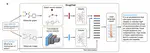 Multi-Modal Large Language Model Enables All-Purpose Prediction of Drug Mechanisms and Properties